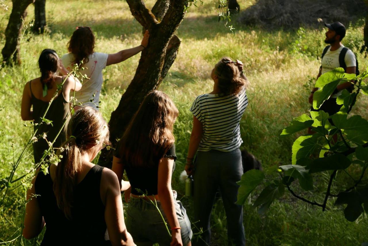 Quinta De Sao Pedro De Vir-A-Corca Em Monsanto Bed & Breakfast Luaran gambar