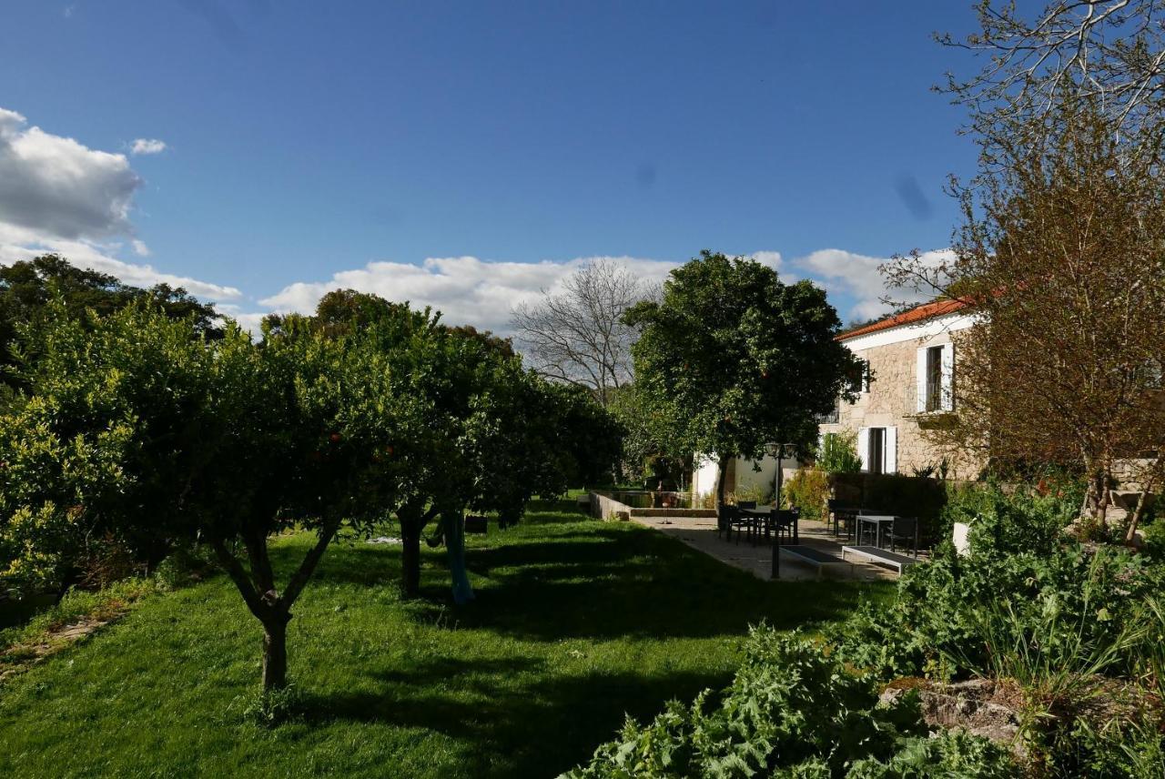 Quinta De Sao Pedro De Vir-A-Corca Em Monsanto Bed & Breakfast Luaran gambar