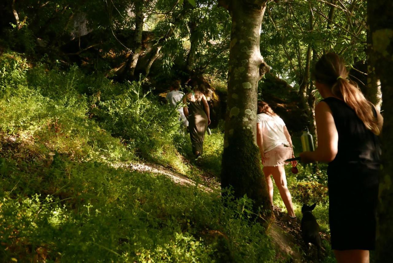 Quinta De Sao Pedro De Vir-A-Corca Em Monsanto Bed & Breakfast Luaran gambar